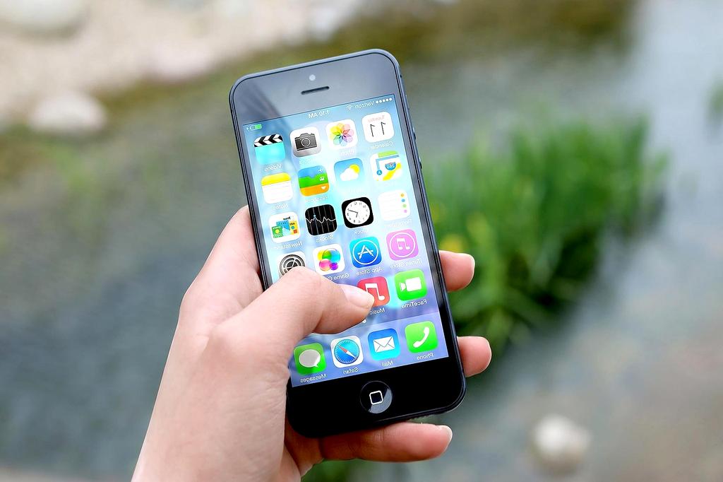 Mobile application interface on smartphone